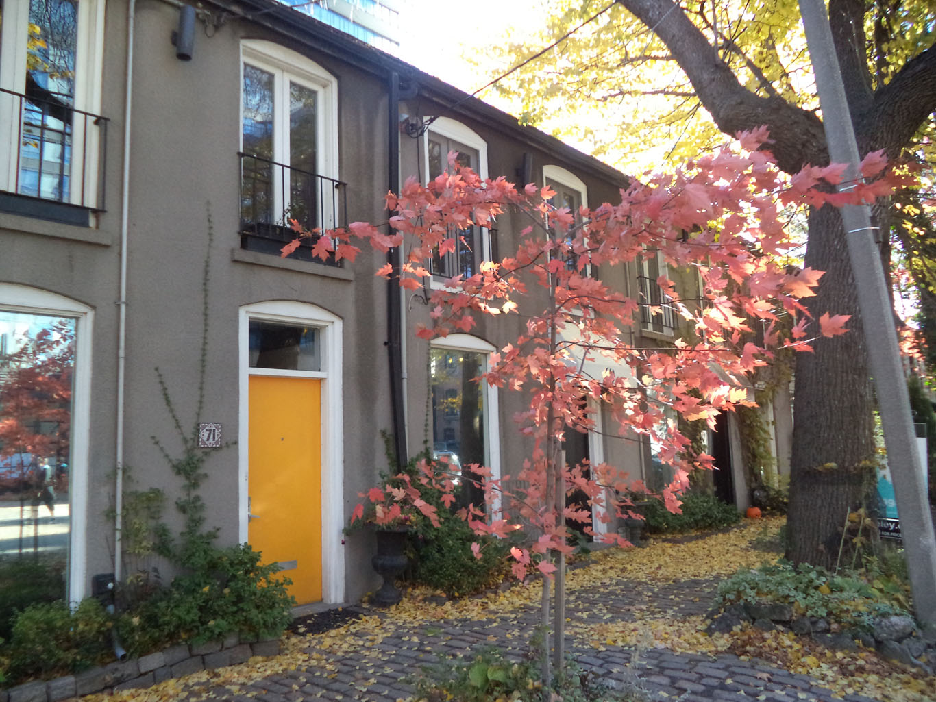 Youth MediSpa (79 Berkeley)